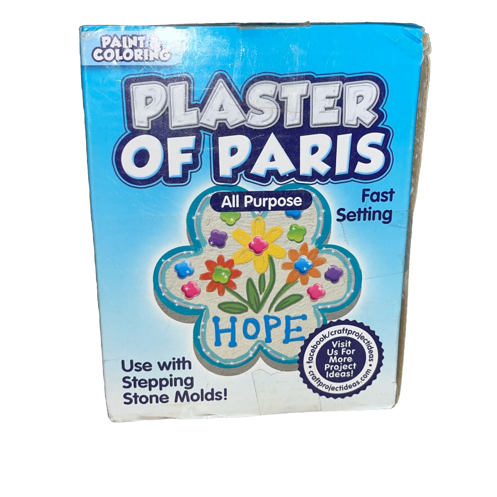 Plaster of Paris, ALL PURPOSE Sets In 20 To 30 Minutes – 4 Lbs Paint & Color