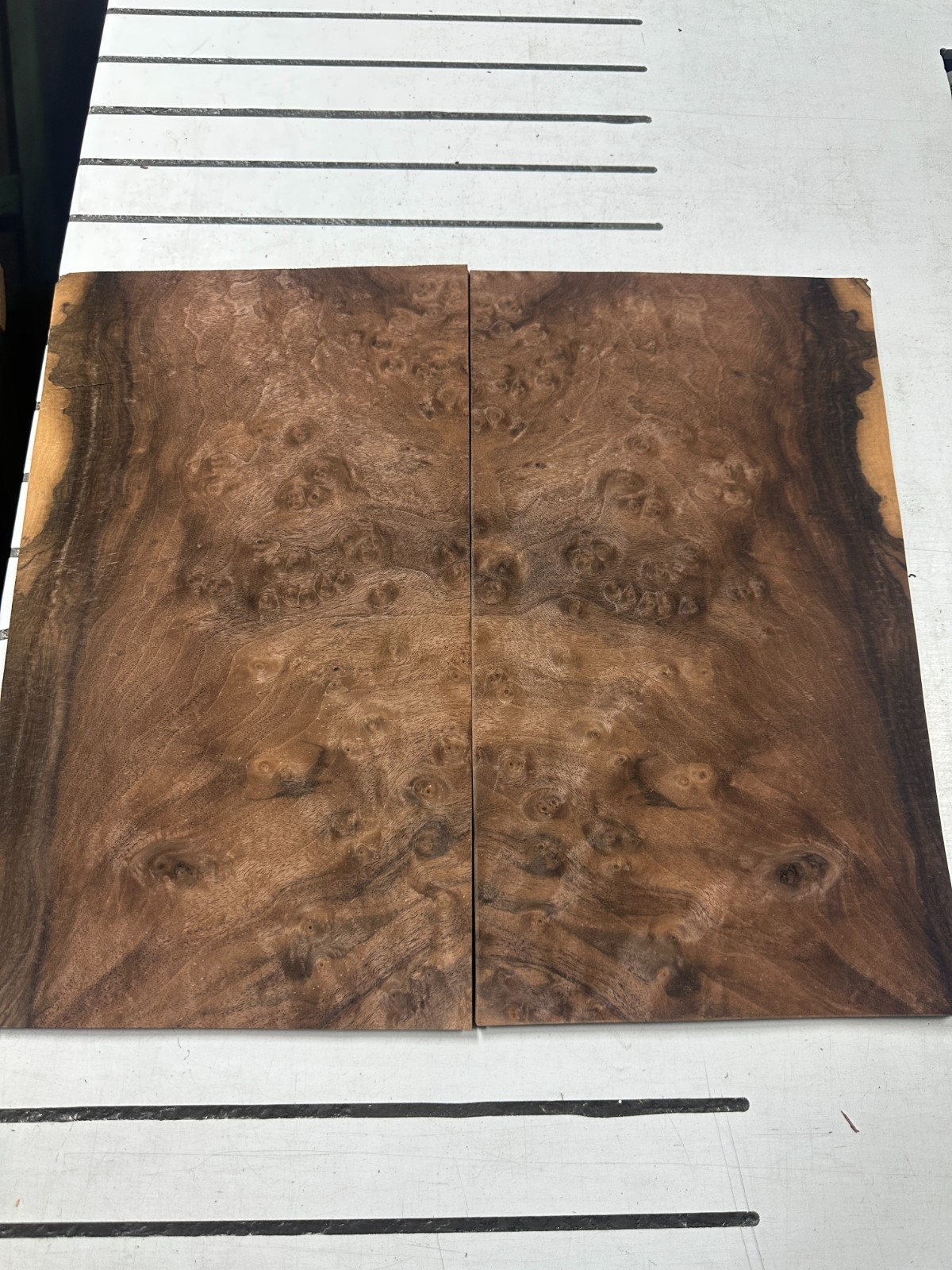 Walnut Burl Raw Wood Veneer 2 sheets 17» x 10» 916O