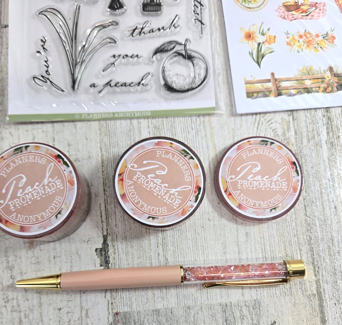 Planners Anonymous Peach Promenade Planner Kit