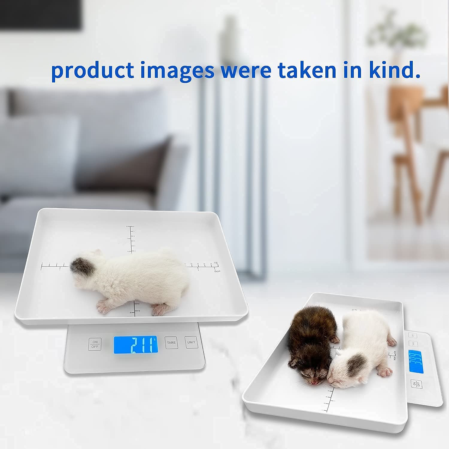 Digital Pet Scale for Small Animal, Whelping Scale,Mini Precision Gram Weight Ba