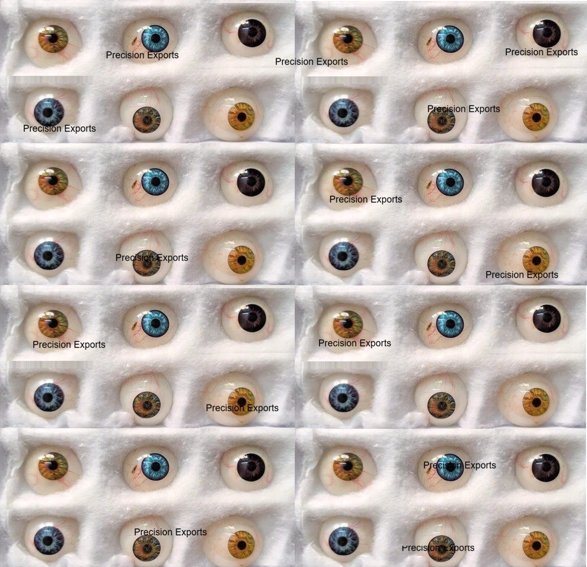 Mixed Artificial Eyes Ophthalmology Teaching Demonstration Set OF 50PC With Box
