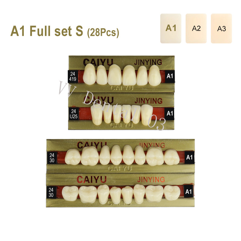 28Pcs/Set A1 A2 A3 Shade Dental Full Mouth 4-Layer Synthetic Resin Teeth Denture