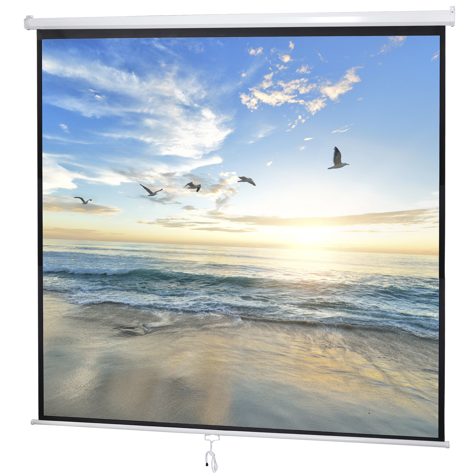 120» Projector Screen Projection Screen Manual Pull Down HD Screen 1:1 Format