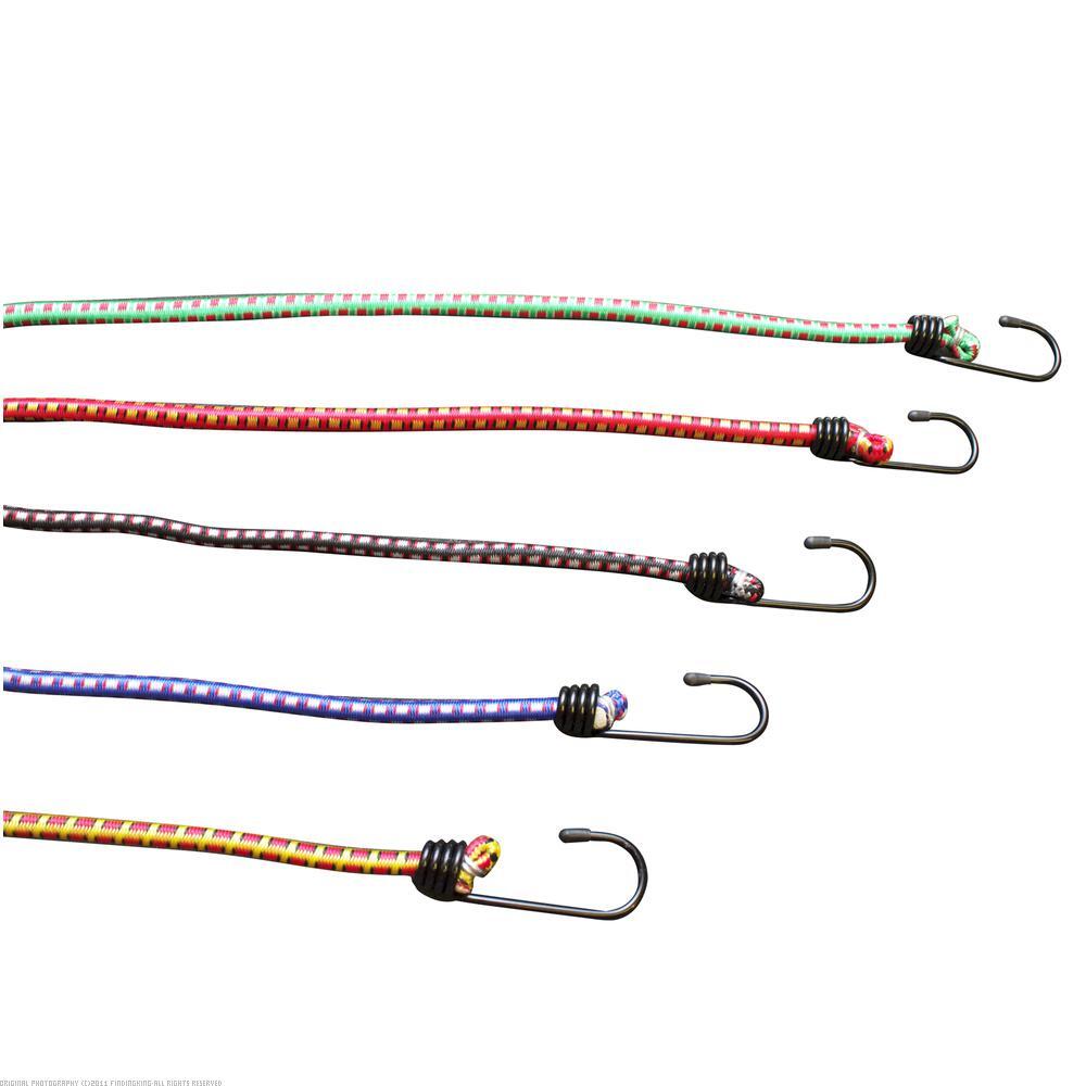 Erickson Bag of Assorted Bungee Cords 10Pcs 06619