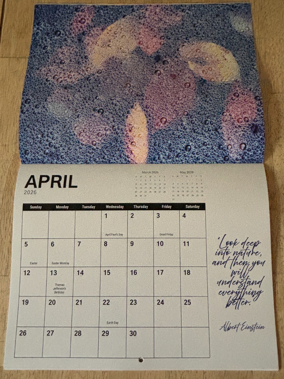 Tree Chronicles – 2026- 12-Month Wall Calendar – Great Tree Photography!