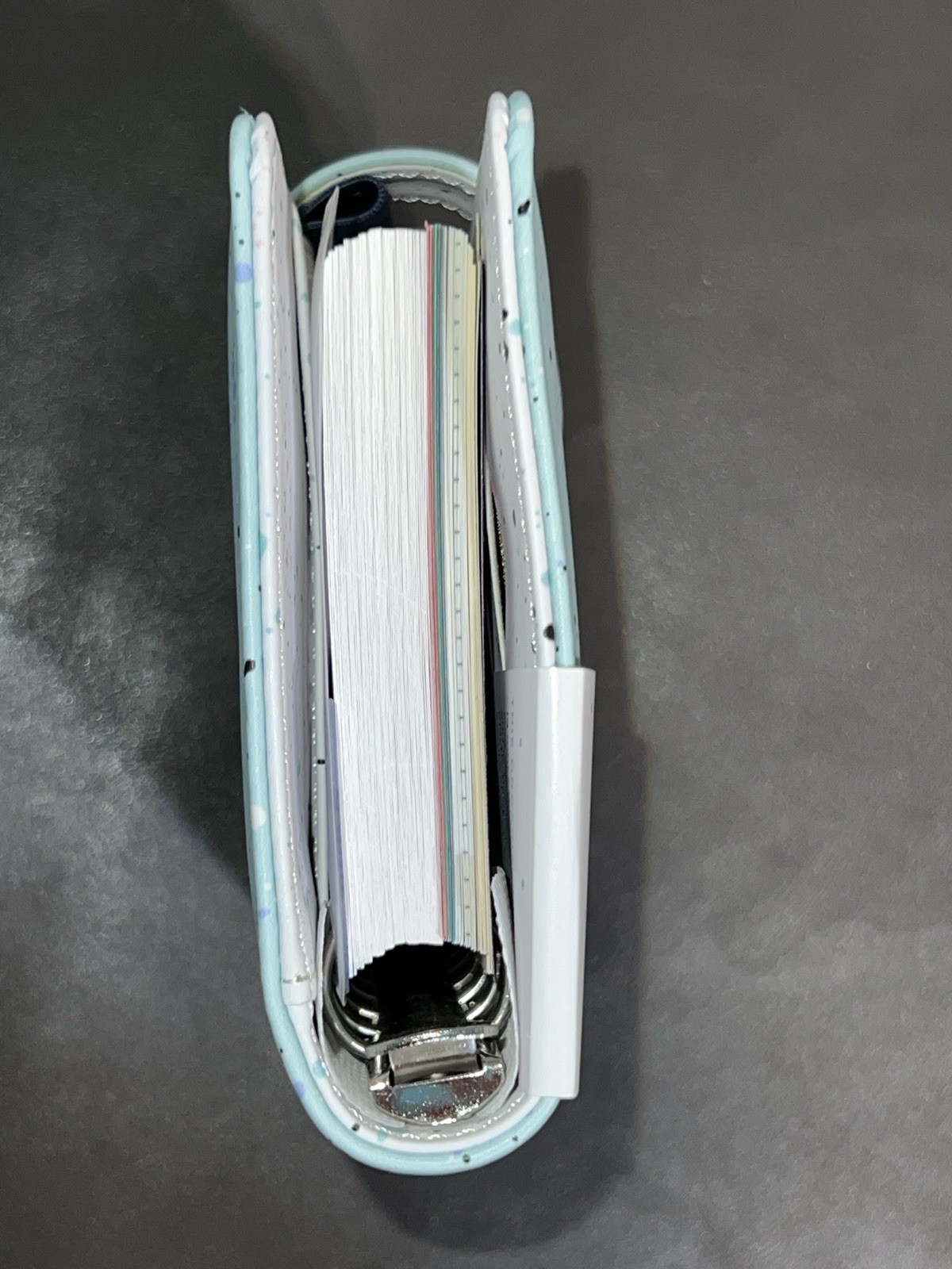 Filofax Expressions Mint Pocket Size Organizer Planner Ring Binder 2024 NWT!