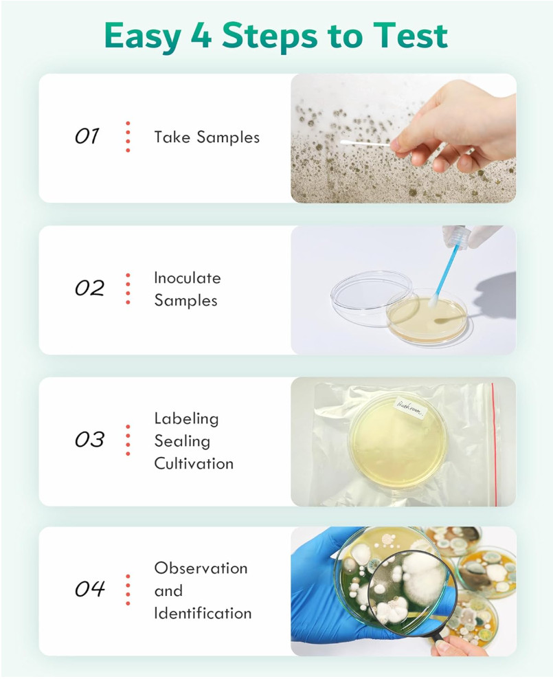 Mold Test Kit for Home Air: DIY Mold Detector with 4 Simple Detection Tests, USA