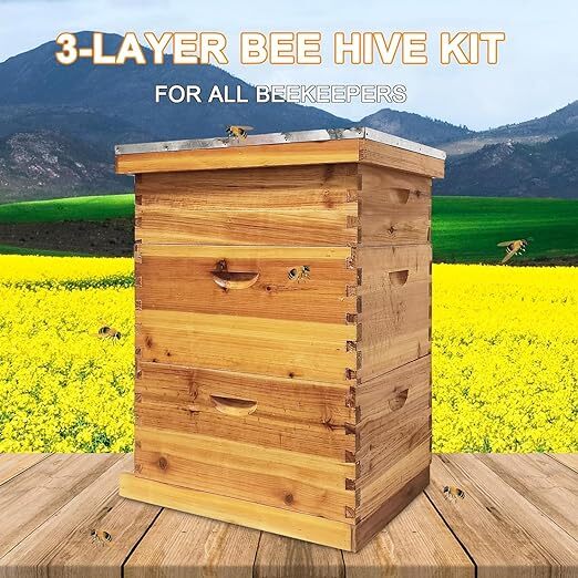 3 Layers Beehive Complete Box Kit Langstroth Beekeeping 2 Deep and 1 Medium
