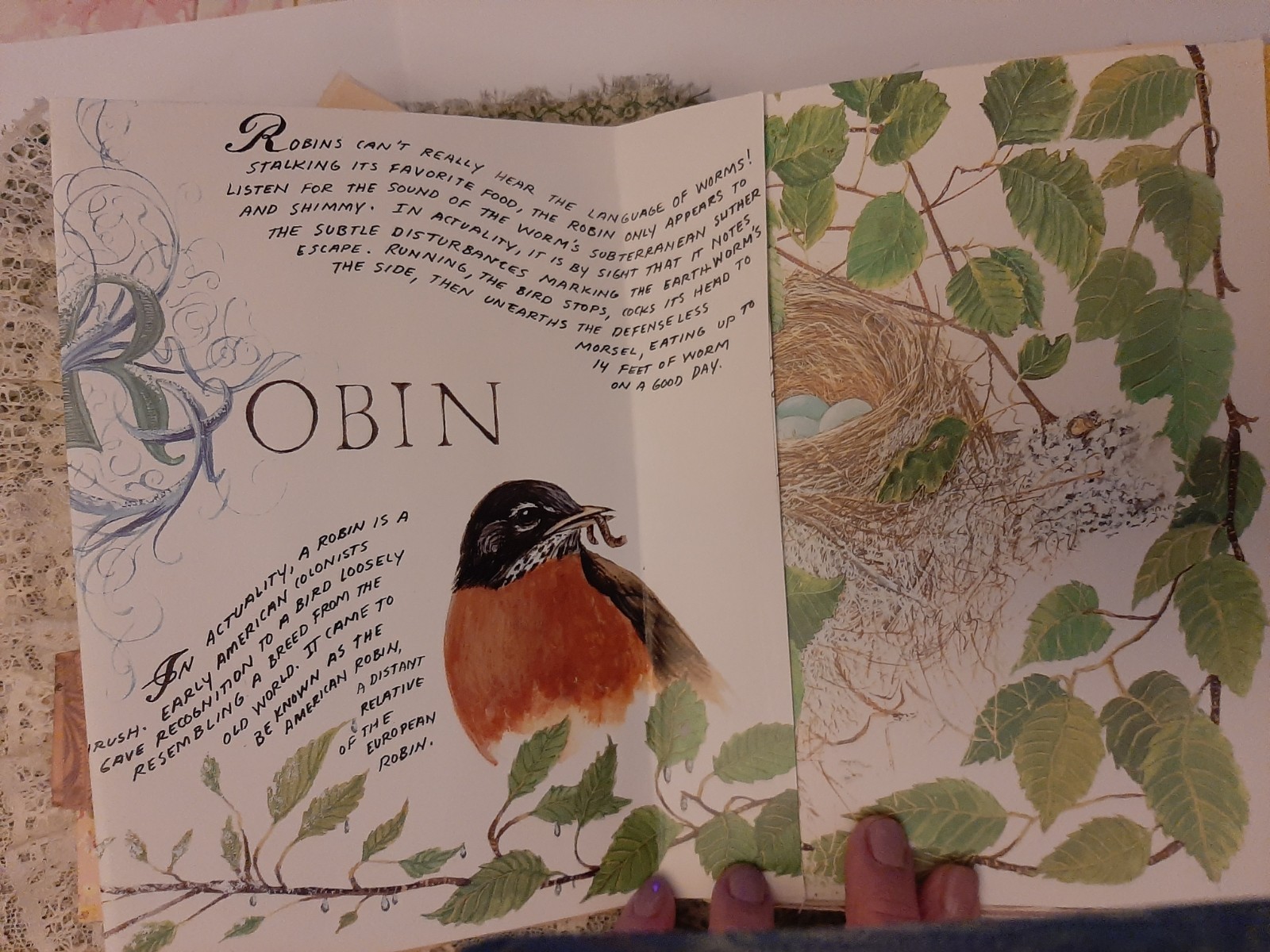 Junk Journal Handmade chunky «Secret Garden» Soft and squishy Classic Story