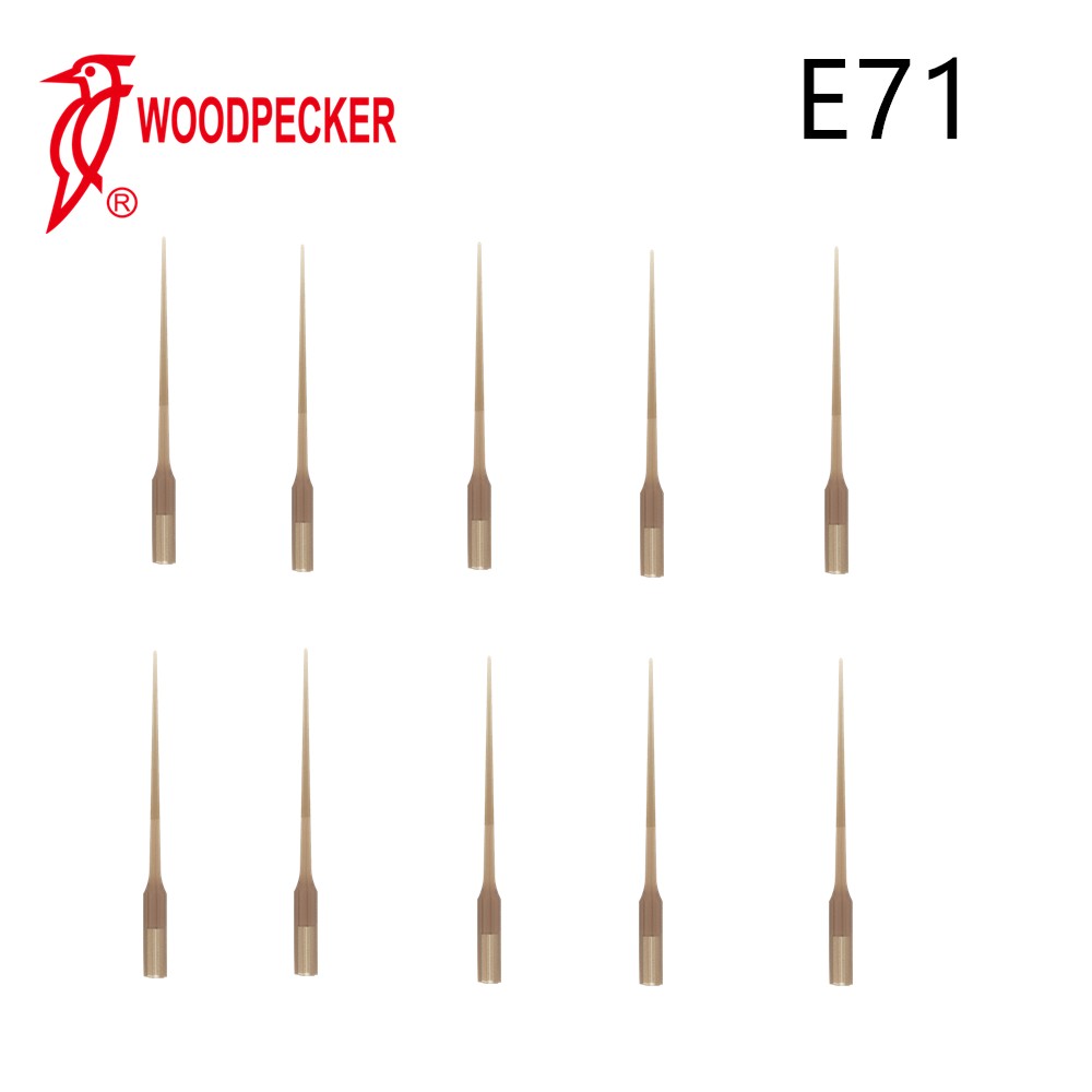 Woodpecker Endo Ultrasonic Activator Endo 3 Endodontic Irrigator for Root Canal