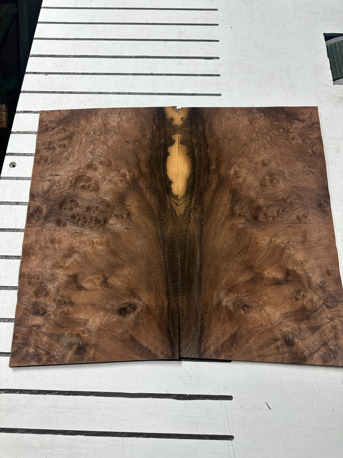 Walnut Burl Raw Wood Veneer 2 sheets 17» x 10» 916O