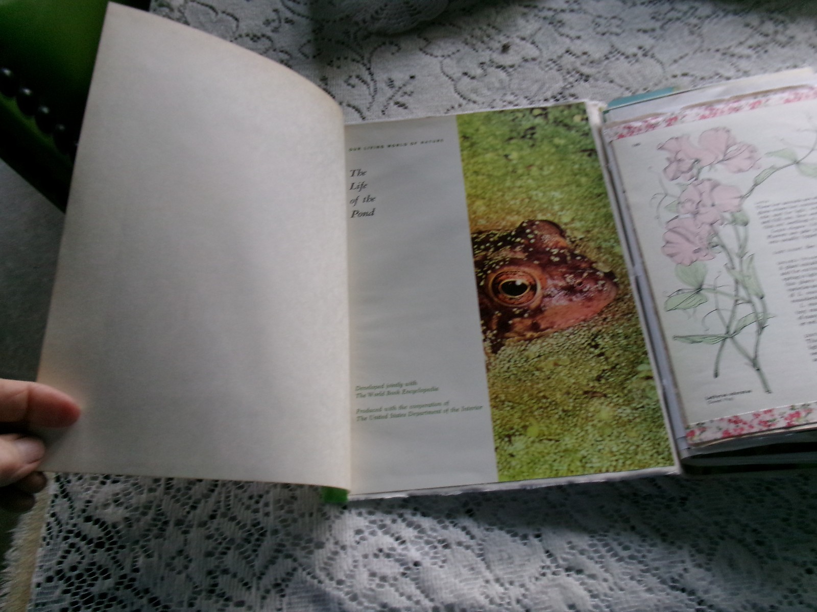 JUNK JOURNAL SIZE 7″ X 10″ APPROX. 120 PAGES