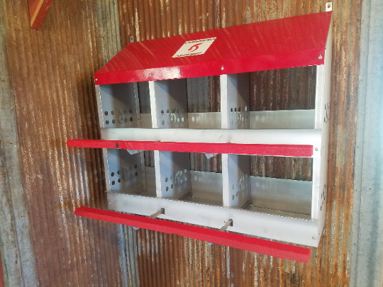 Duncan’s Poultry 6 Hole Hen Chicken Nest Box. Highest Quality. Made in USA.