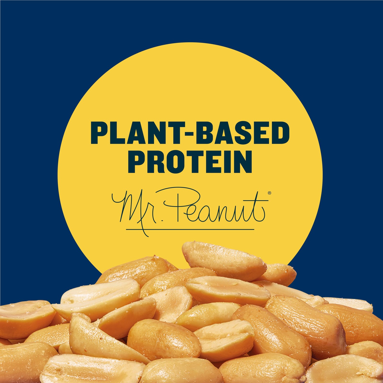 PLANTERS Dry Roasted Peanuts, PlantBased Protein, Lightly Salted, 16 Oz Jar