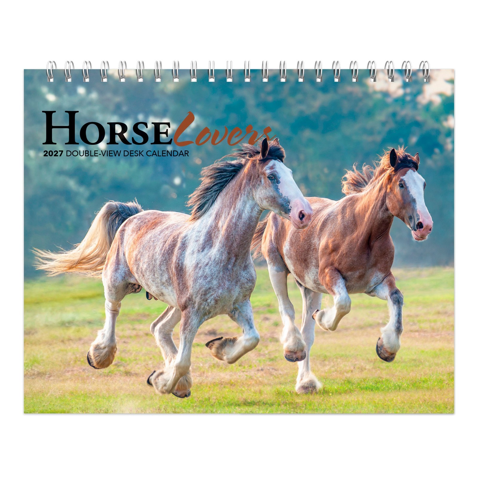 Horse Lovers | 2027 7.5×6″ Monthly Double-View Easel Desk Calendar