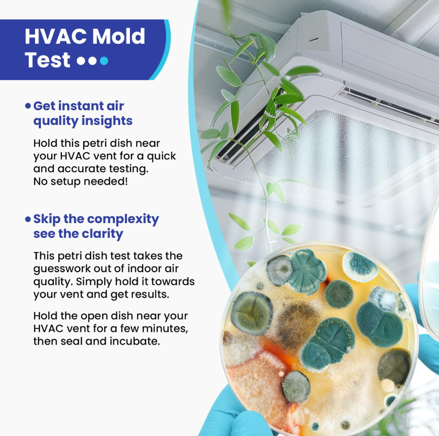 Mold Test Kit for Home Air: DIY Mold Detector with 5 Simple Detection Tests, USA