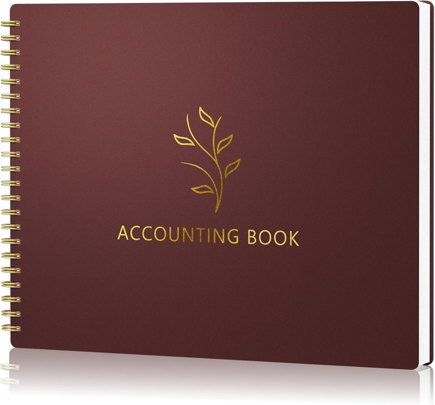 Accounting Ledger Book Income & Expense Tracker for Small Business Budget