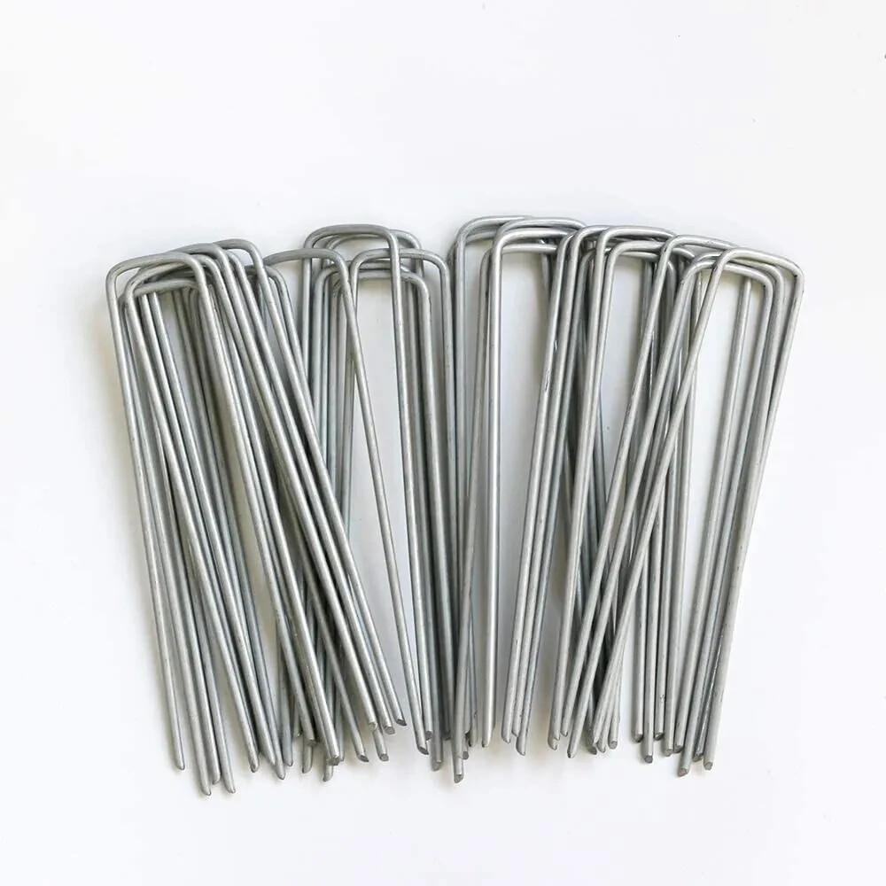 6 inch Galvanized sod Staples 1000pcs 11ga