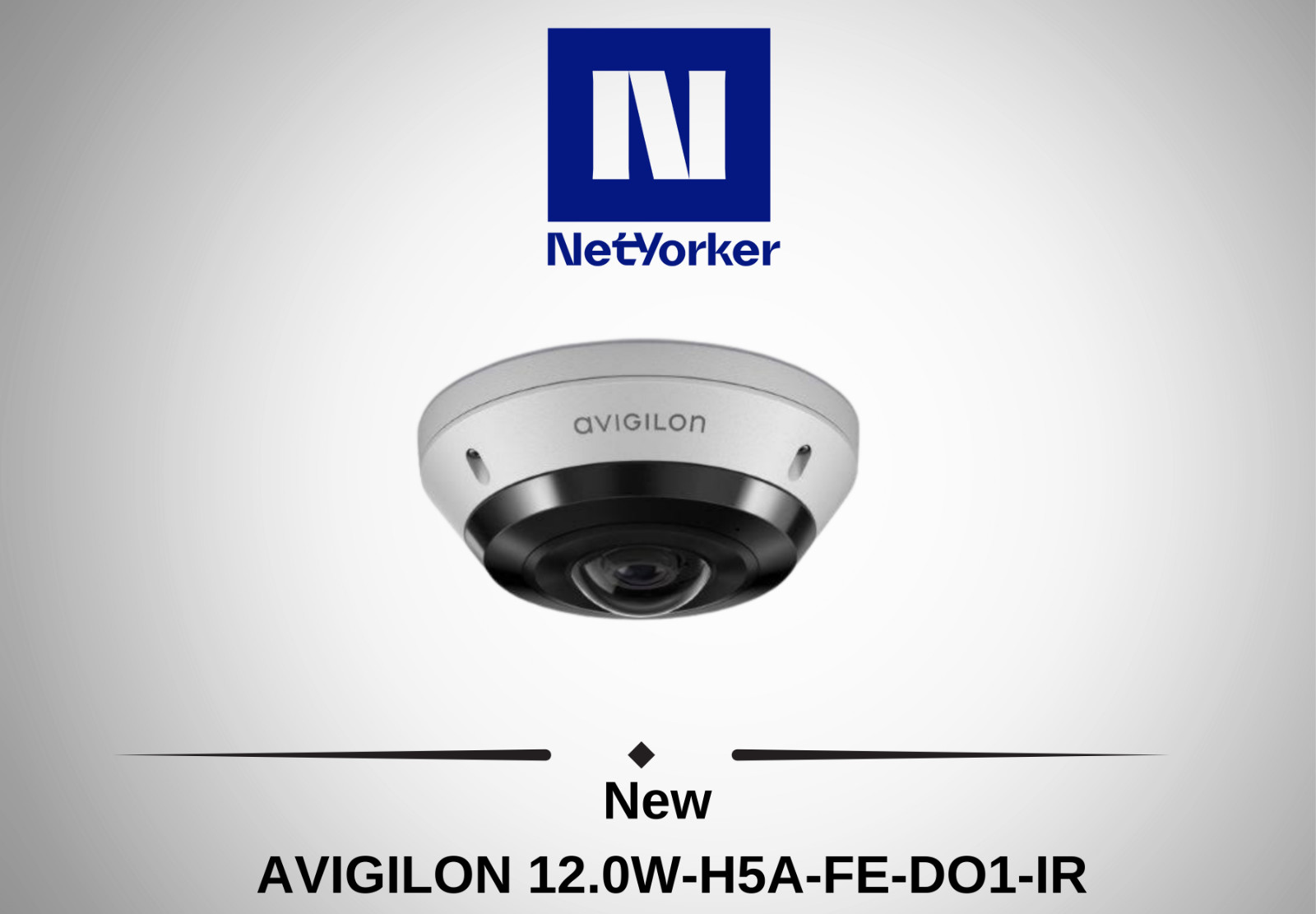 NEW Avigilon 12.0W-H5A-FE-DO1-IR H5A 12MP 360 Degree Fisheye OutDoor IR IP Dome