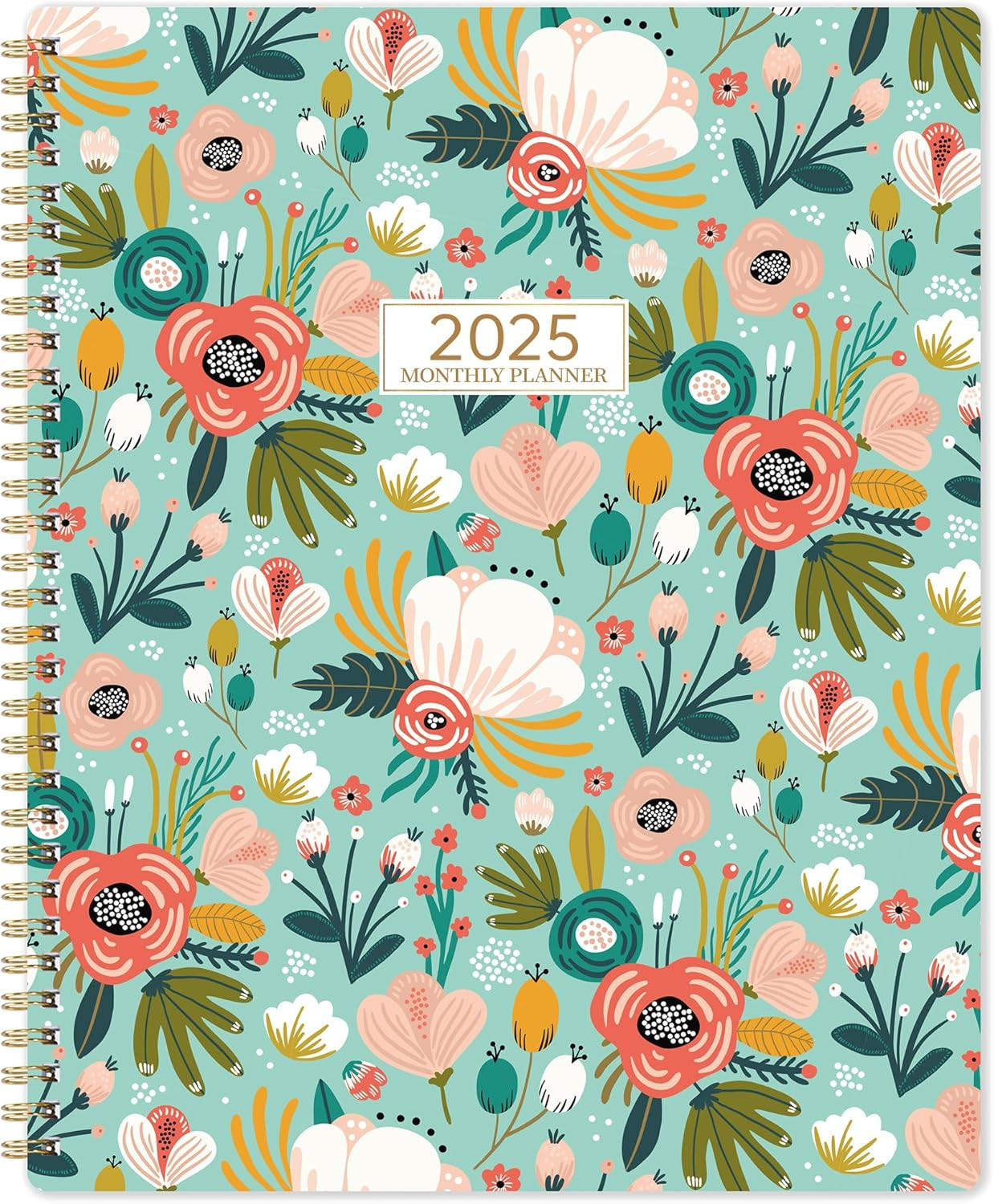 2025 Monthly Planner – Monthly Planner 2025 from Jan.2025 to Dec.2025, 2025 Plan