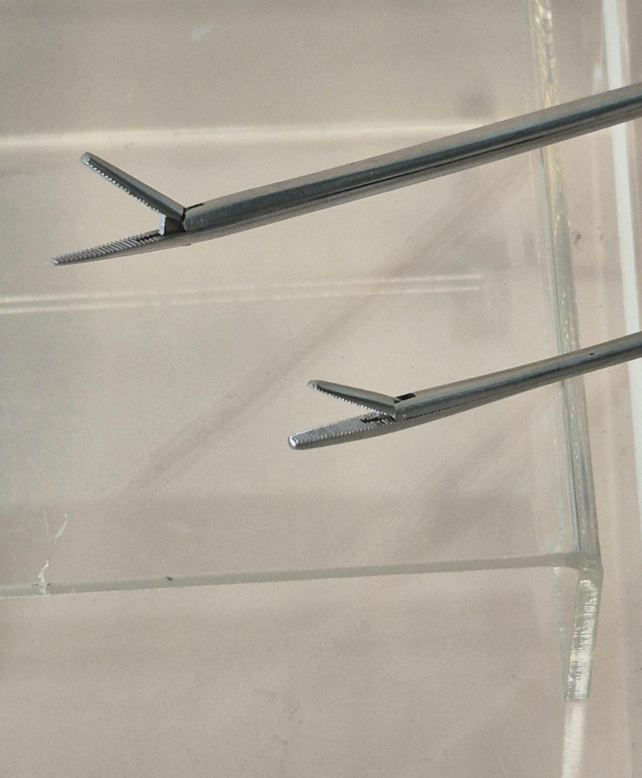 Alligator Forceps, ENT (2 sizes available)