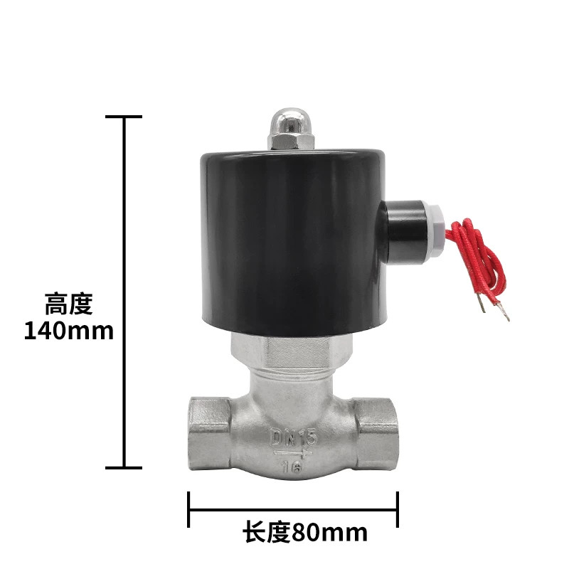 AC110V 1/2″ BSP SS304 High temperature Steam Solenoid Valve NC PTFE Sealing