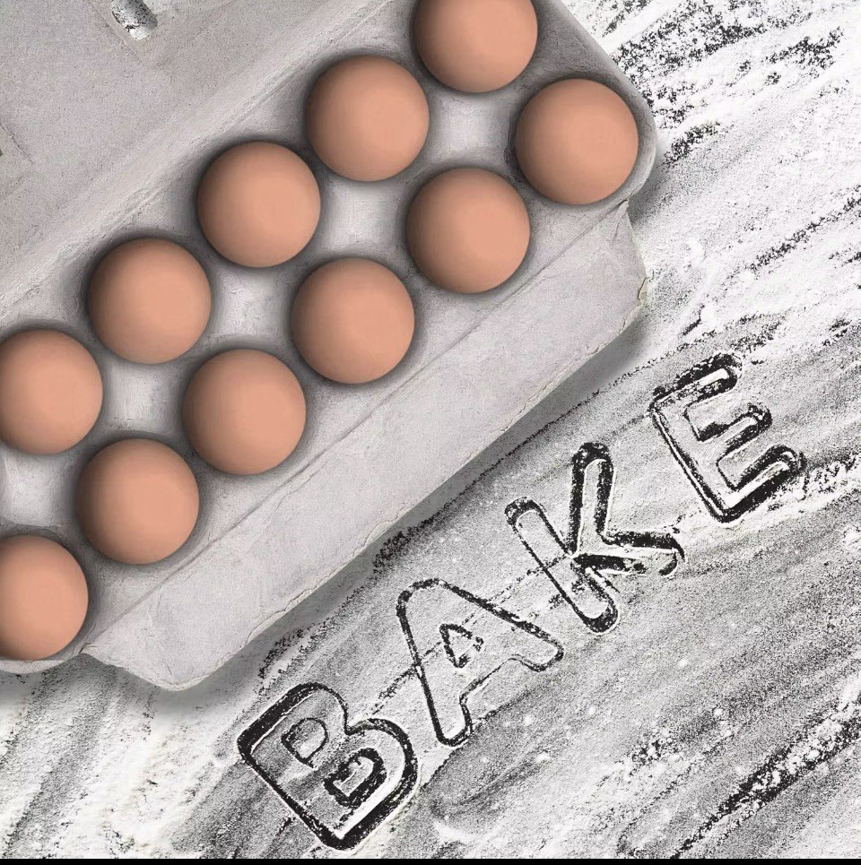 Egg CartonsNatural Pulp Egg Cartons Bulk Blank 12 Eggs Per Carton 20 PACK Strong