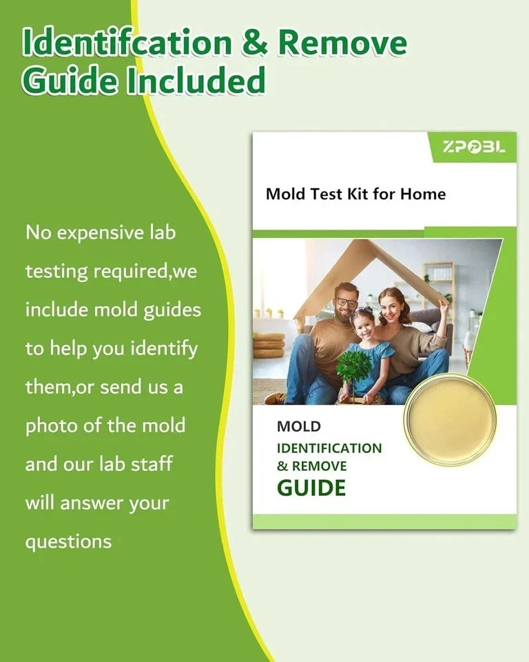Mold Test Kit for Home, 4 Detection Tests for HVAC, Surfaces & Indoor Air Qualit