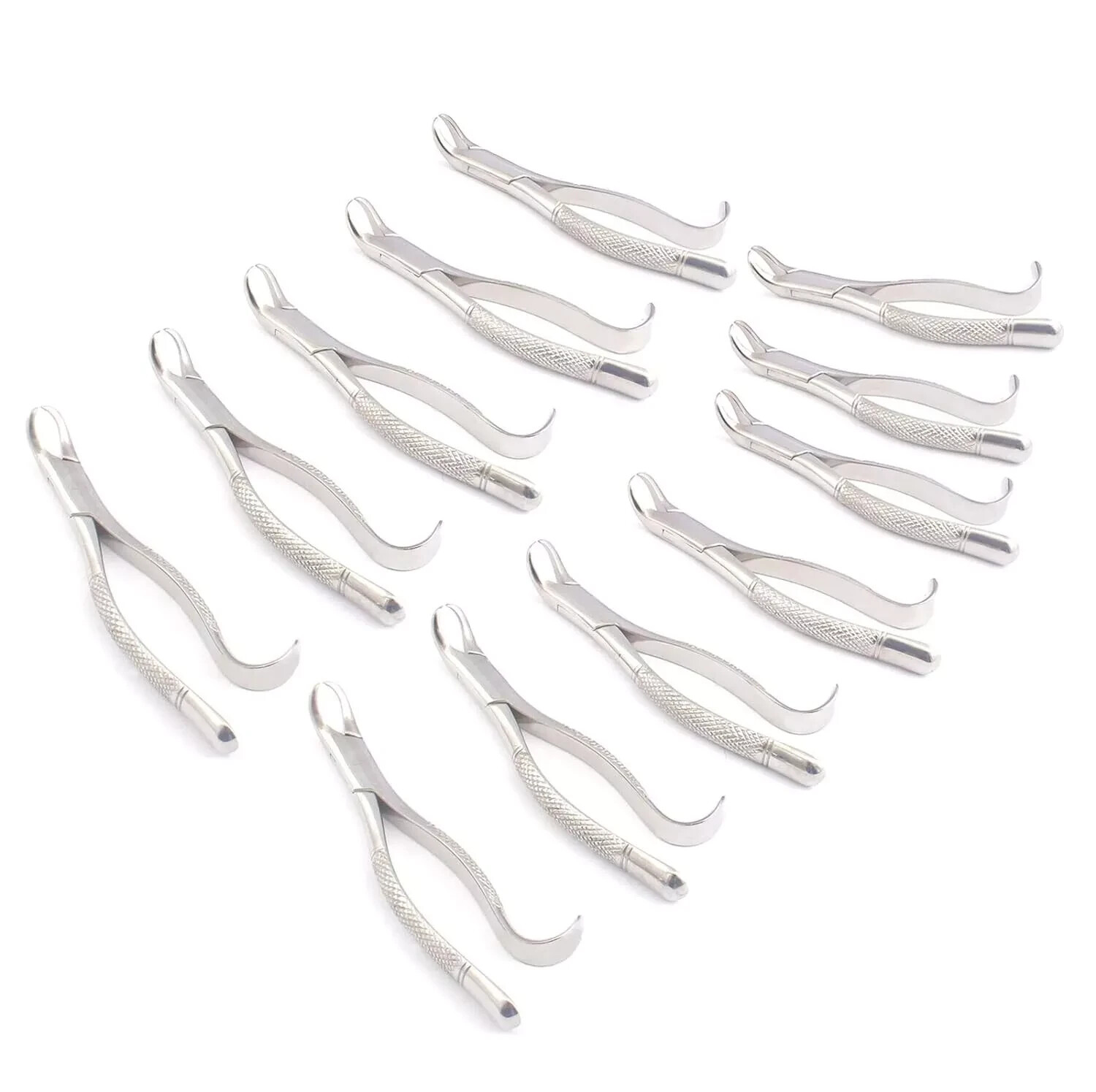 Set of 12 Pcs Dental EXTRACTING Forceps #16S Dental Extraction Instruments