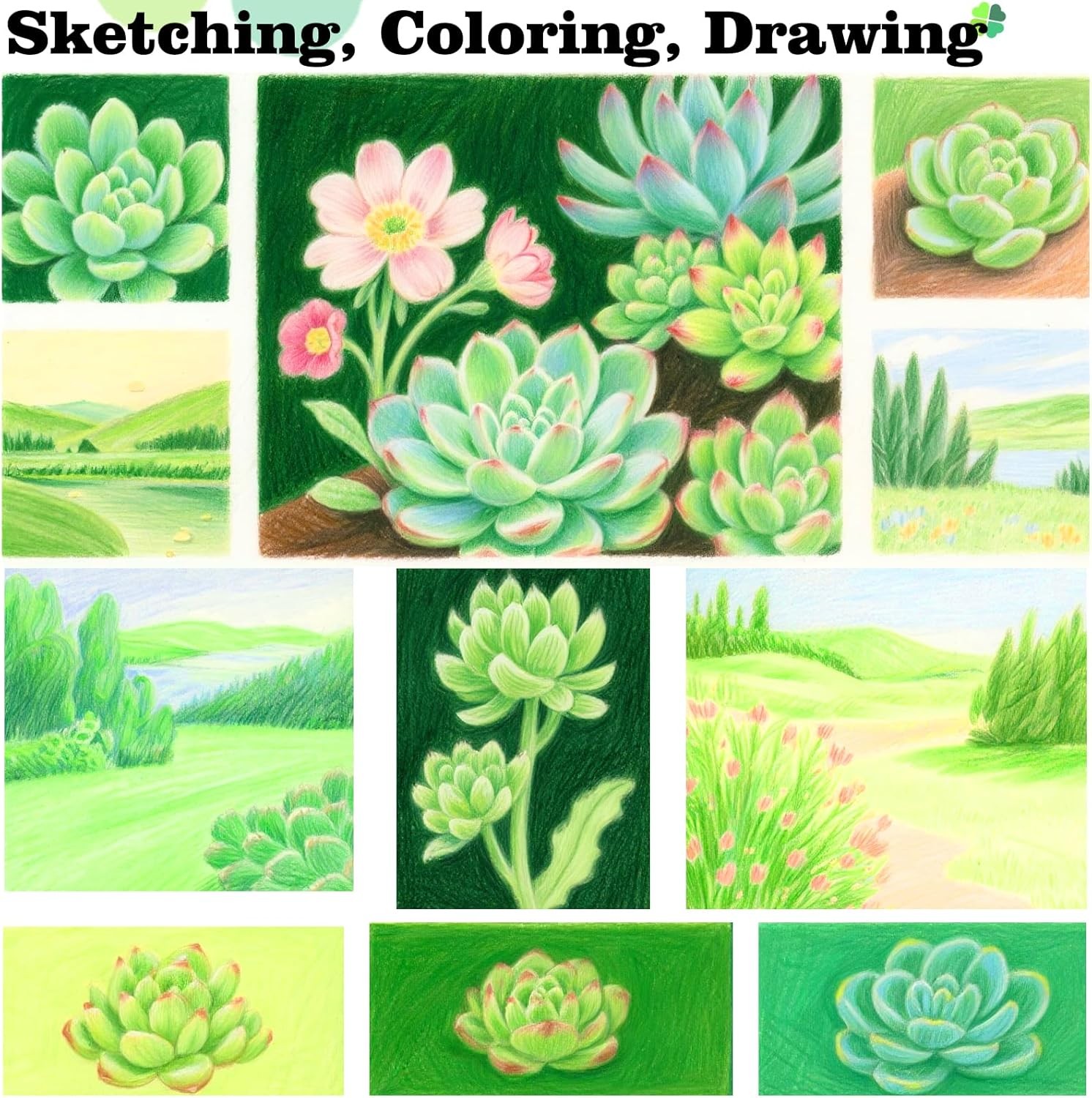 12 Colors Green Colored Pencils for Teens Adults, Oil Based Wooden Colored