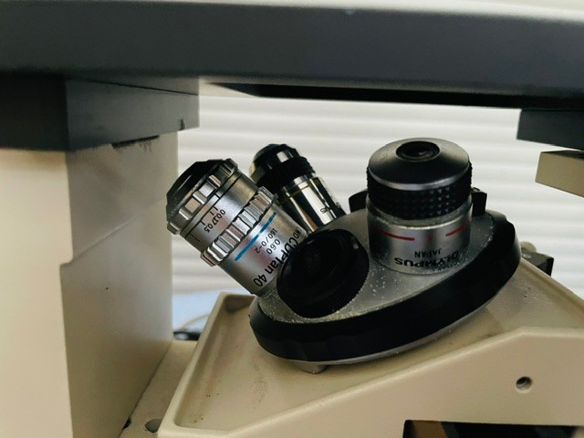 Olympus IMT-2 Inverted Phase Contrast Microscope