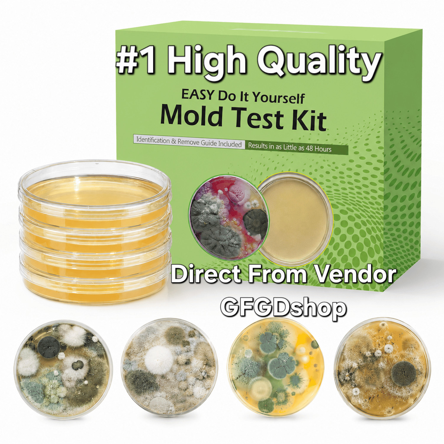 Mold Test Kit for Home Air: DIY Mold Detector with 4 Simple Detection Tests, USA