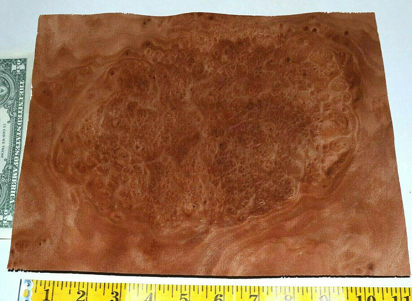 Planetree Burl Raw Wood Veneer Sheets 8 x 10 inches 1/42nd IFPa7368-37