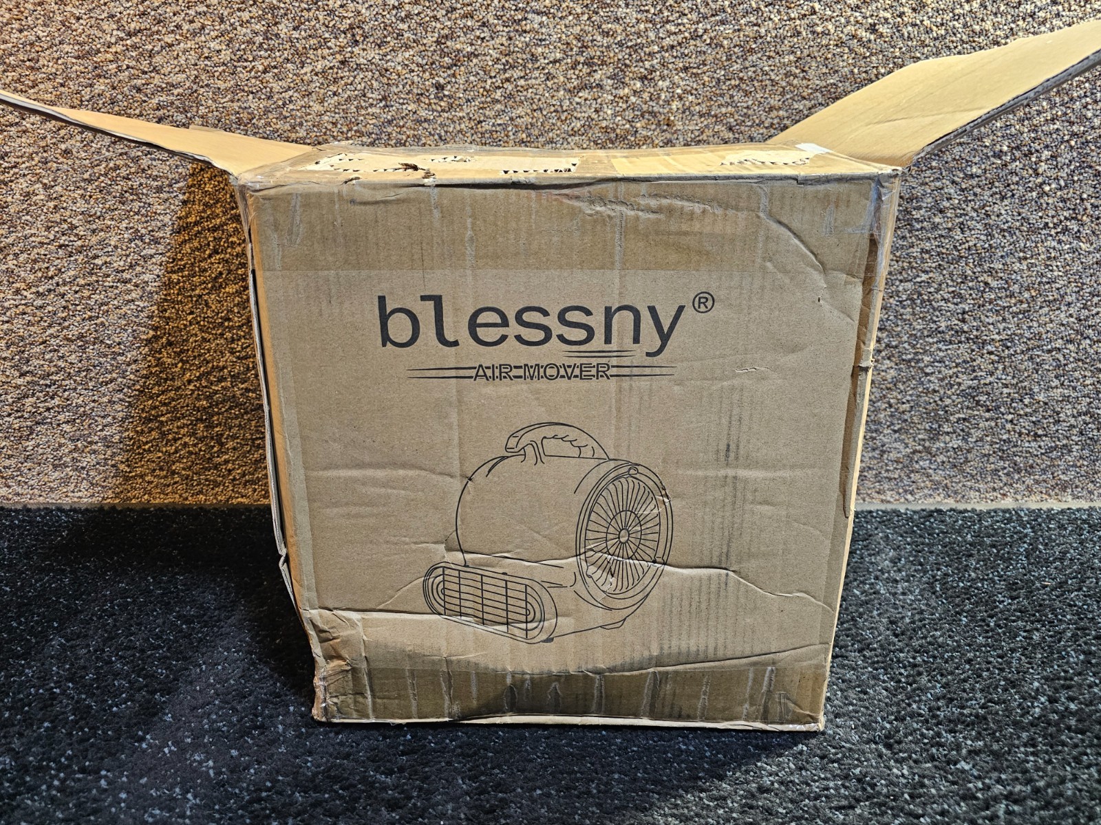Blessny AR110035 Air Mover 1/2HP ETL Listed Carpet Dryer Fan, 2200CFM Air Blower