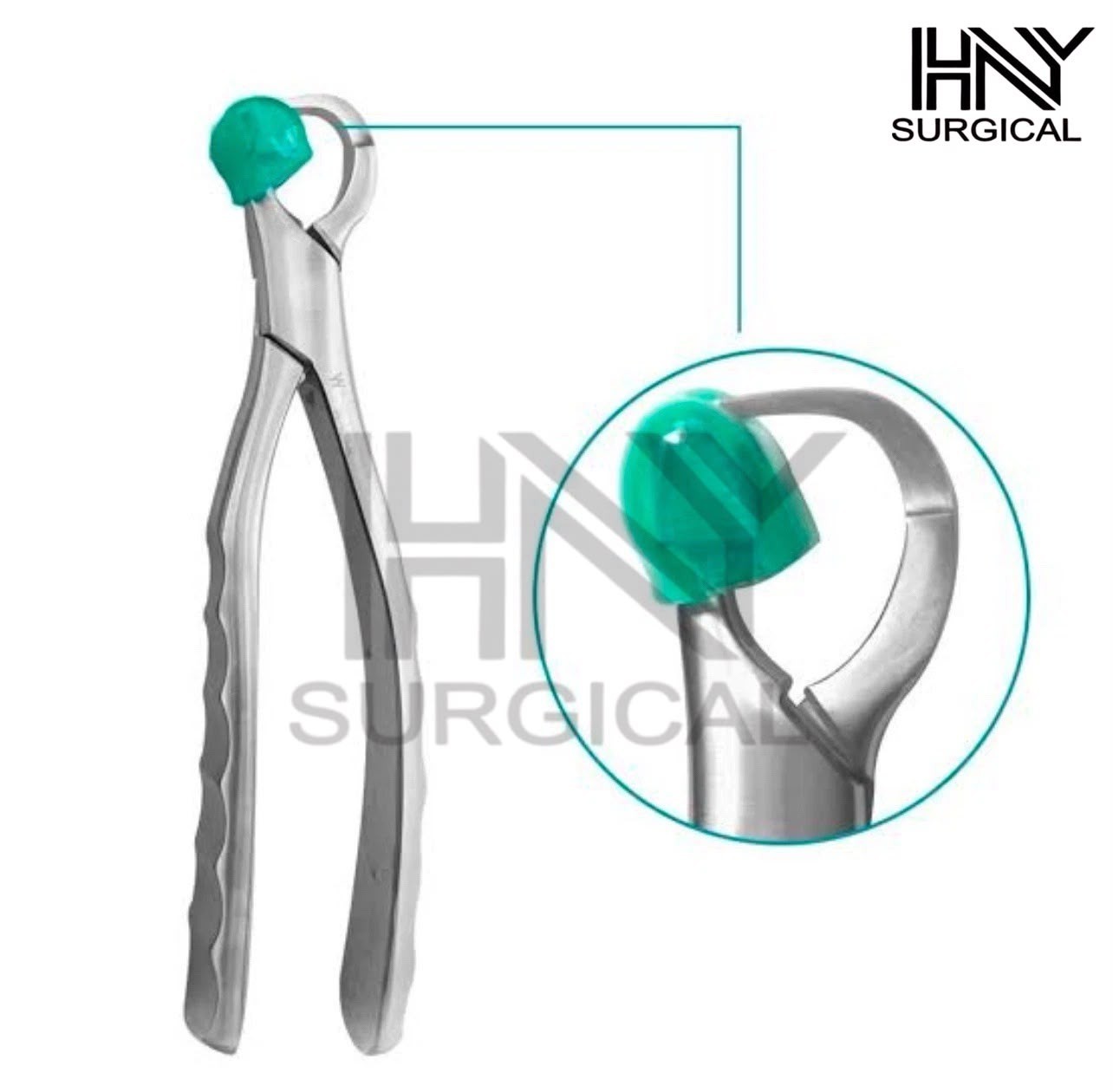 Dental Extraction Physics Forceps Standard Series Set of 4 Pcs with Bumpers