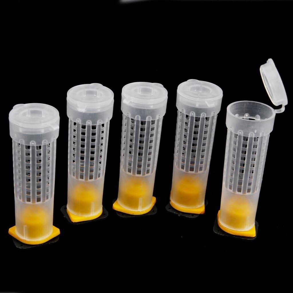 40pcs Mini Beekeeping Rearing Cup Kit Queen Bee Cages Bee Cell Protective Cover
