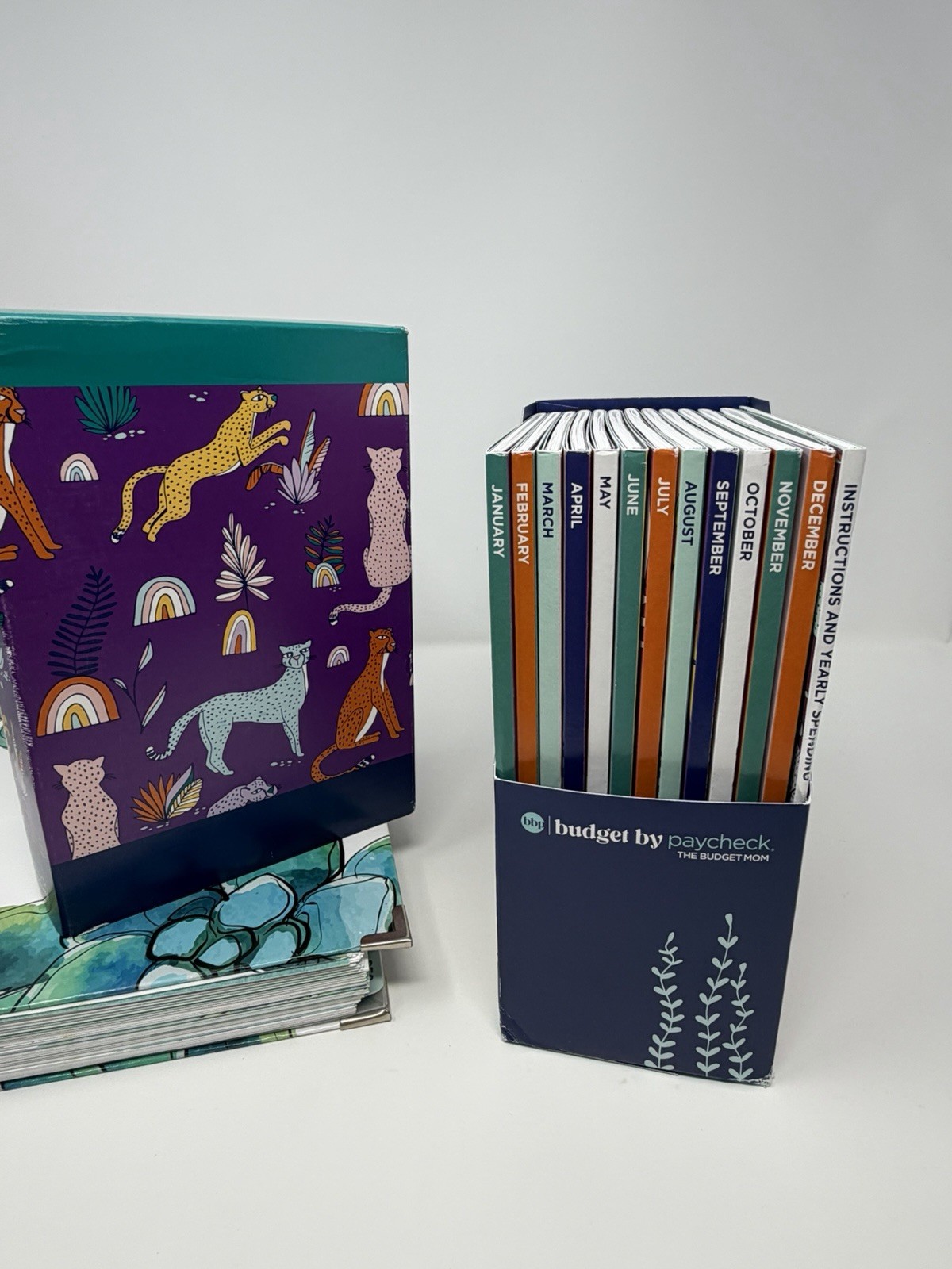 The Budget Mom Live Rich Planner & Budget by Paycheck 12 Month Box Set