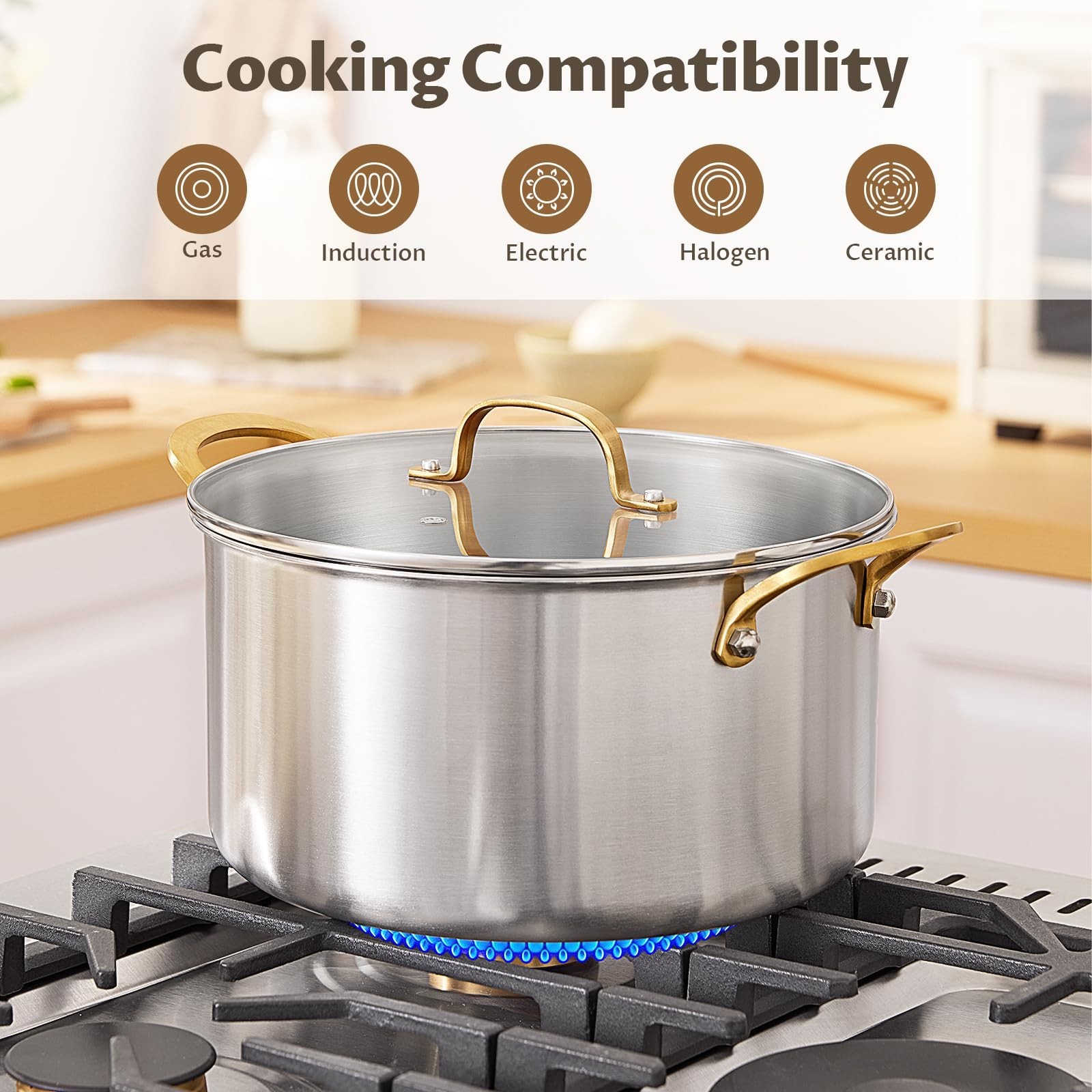 BEZIA 12 QT Stock Pot with Lid, Full Clad Tri-Ply Stainless Steel Soup Pot | …