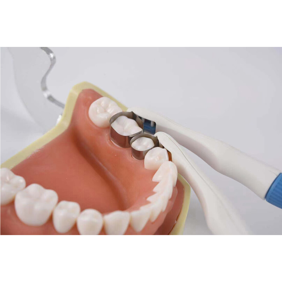 10Pc Dental Pro-matrix Bands Adjust Pro Matrix Bands Curve Size Standard 4.5/6MM
