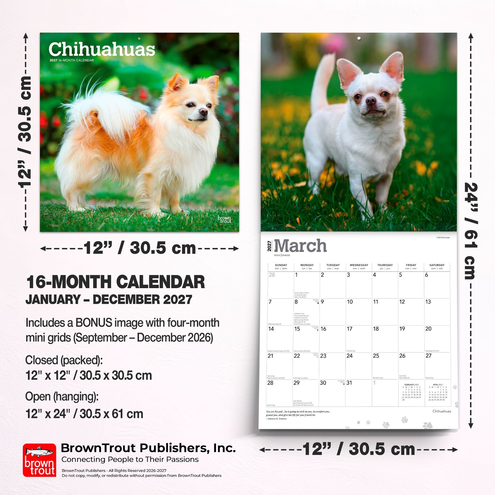 Chihuahuas | 2027 12×24″ (Hanging) Monthly Wall Calendar | Plastic-Free