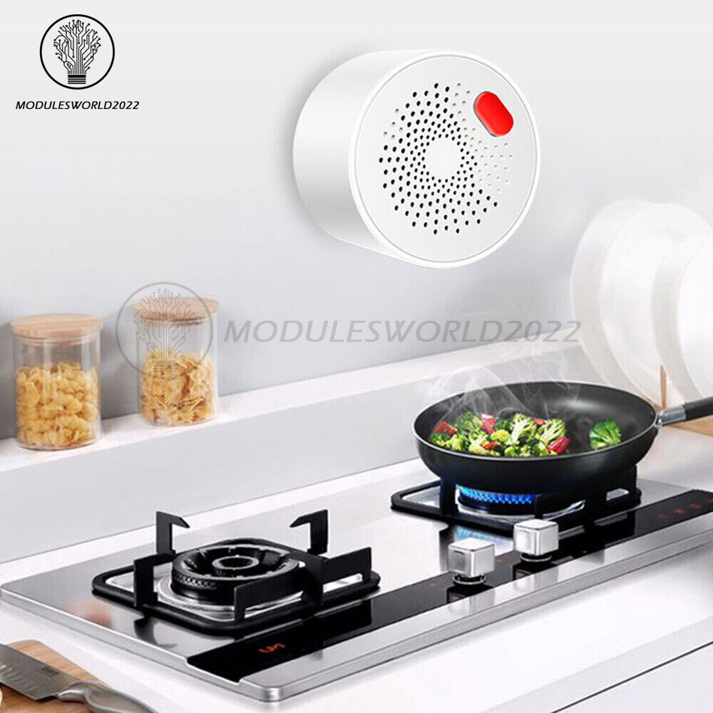 Gas Leak Detector Tuya Wifi Combustible Gas Alarm for Home Natural Gas Sensor