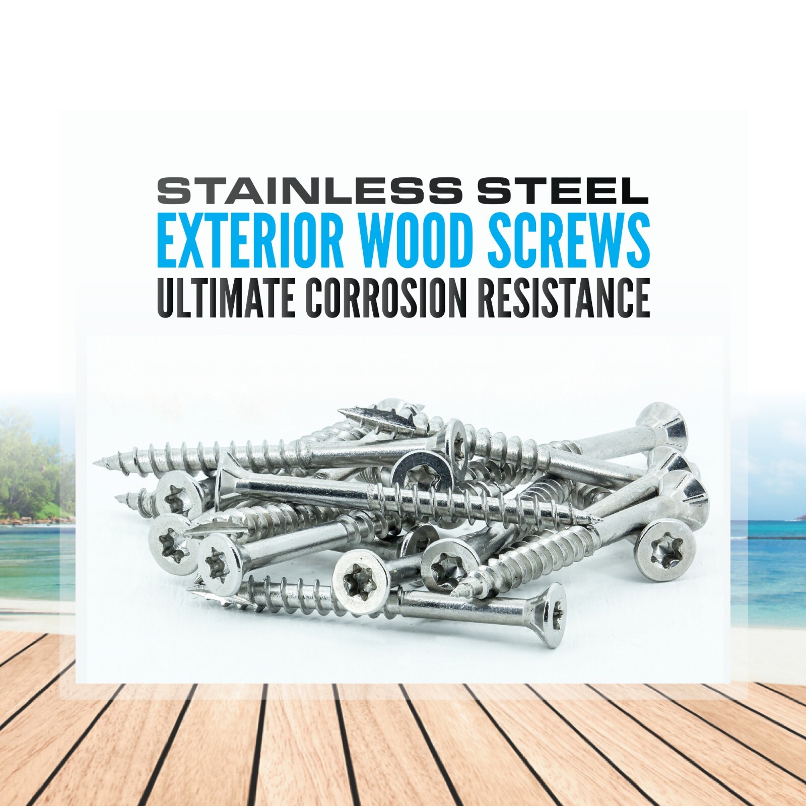 Stainless Steel Wood Screws, Star Drive, Qty 100 DIY Pack, Various sizes