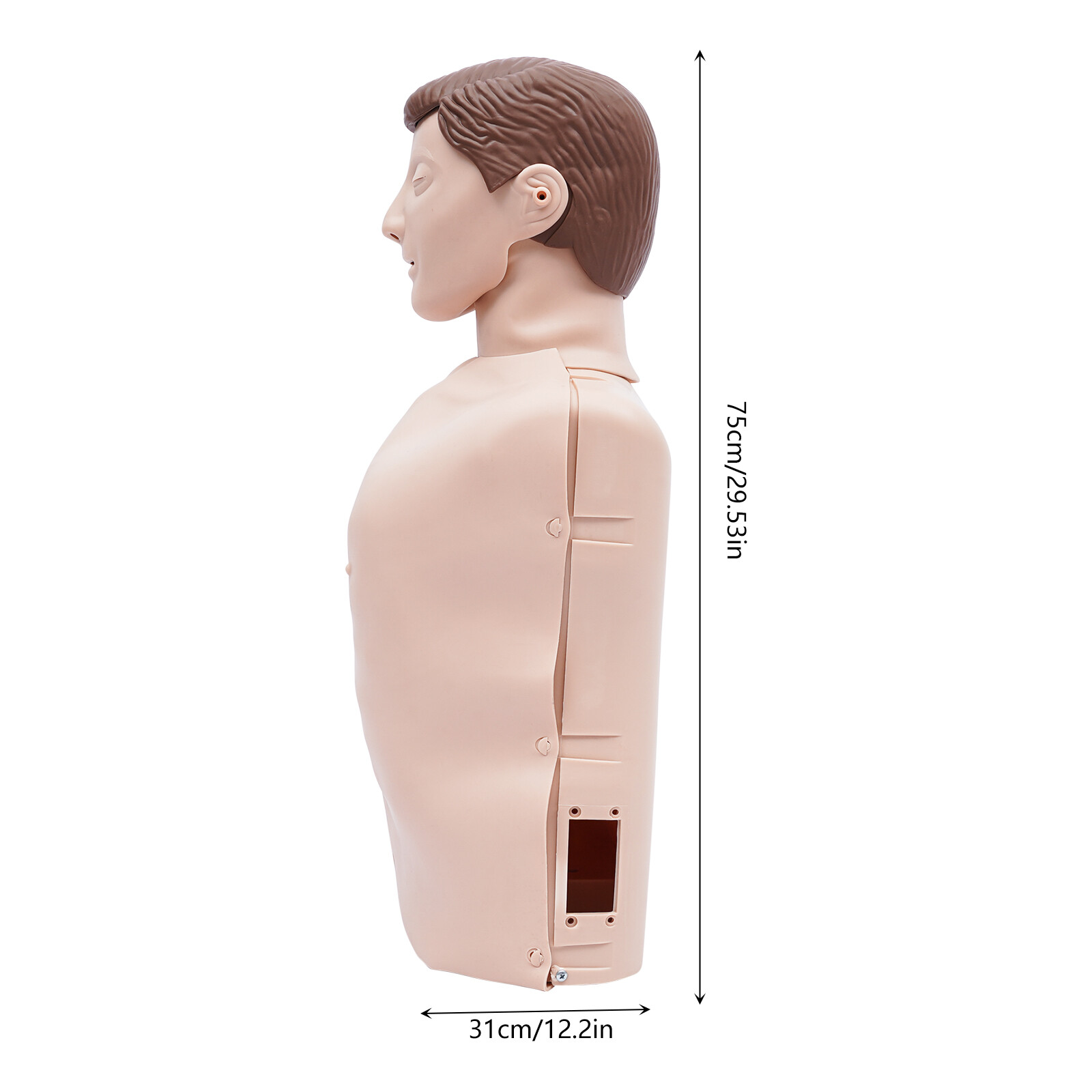 Adult CPR Adult Manikin for First Aid Training Patient Education Simulator Model