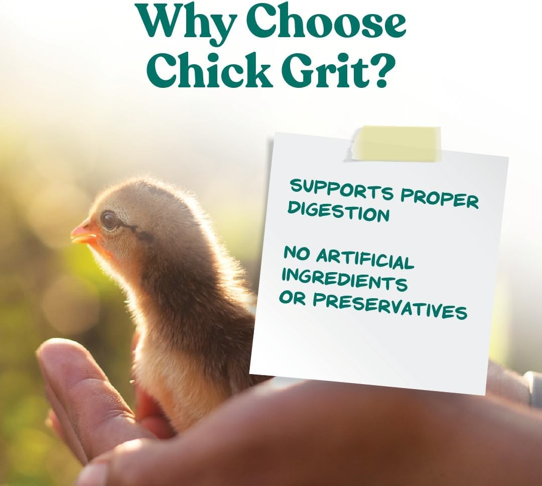 Manna Pro Chick Grit with Probiotics | Formulated 5 Pound (Pack of 1)