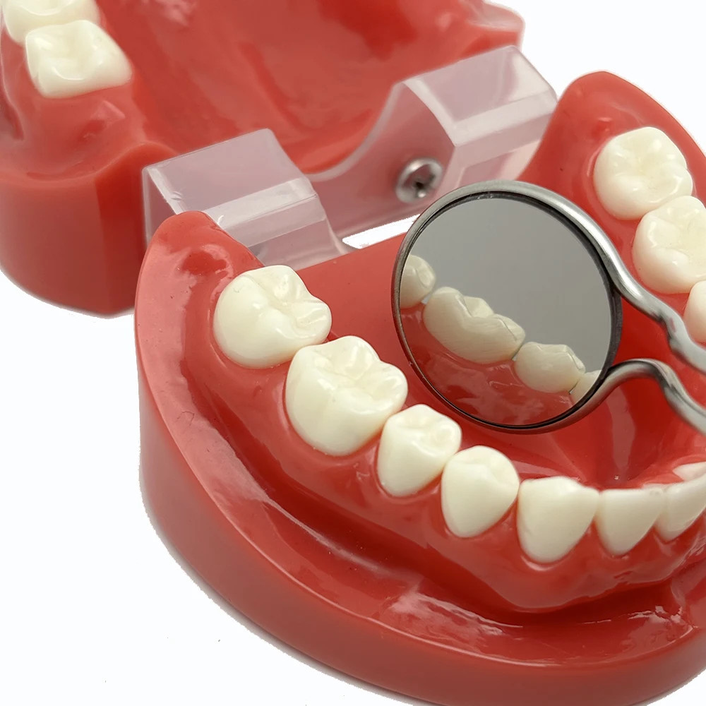 Double-sided Dental Mouth Mirror High Quality Anti-fog Rhodium Oral Mirrors