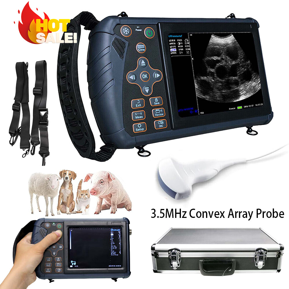 DAWEI Vet Ultrasound Machine Convex Probe For Pigs, Cows, Camels, Sheep