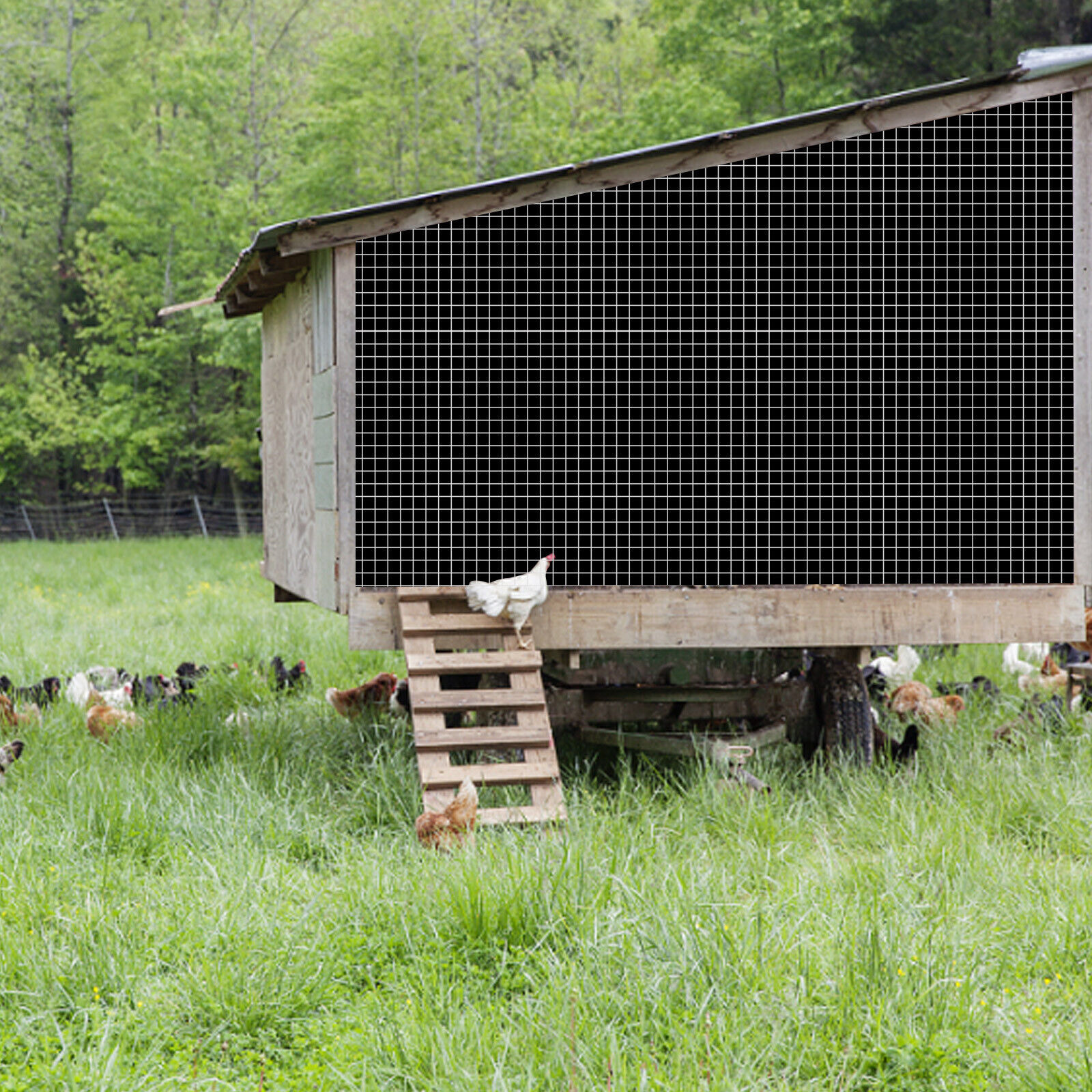 36in x 100ft 1/4 inch Welded Wire Mesh Chicken Wire Poultry Fence Hardware Cloth