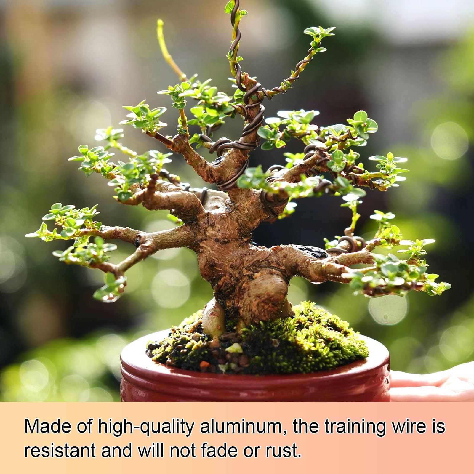 1-Pack Bonsai Training Wire, 2.5mm x 33ft/10m Anodized Aluminum Bonsai Tree W…
