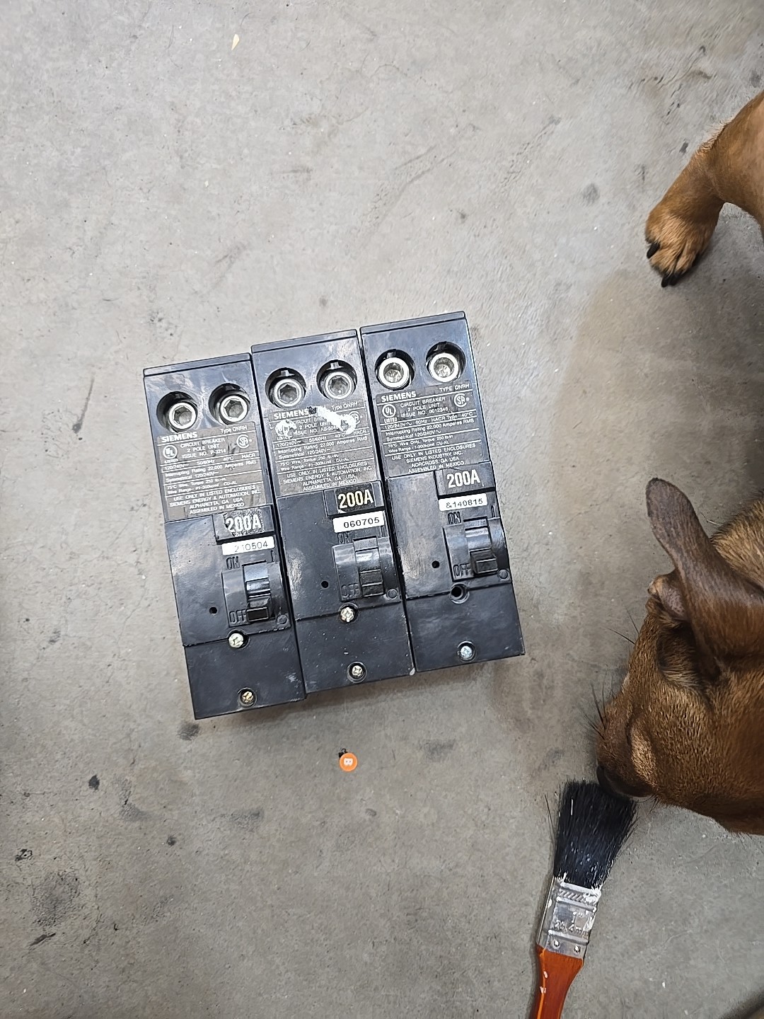 Siemens QN2200RH Main Circuit Breaker 200A 120V 240V 2 Pole QNRH