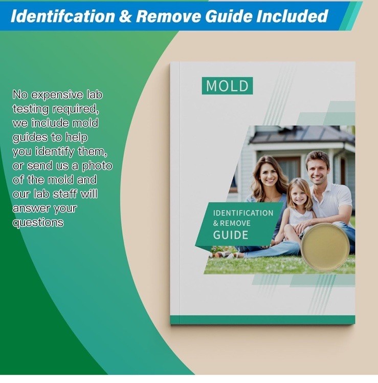 Mold Test Kit for Home – 12 Simple Detection Tests,Test HVAC System,Home Surf…